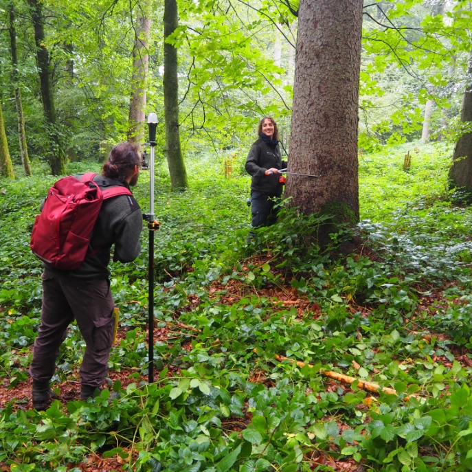 Sabrina Maurer und Linus Ender vom Amt für Wald und Wild überprüfen einen Stichprobenpunkt im Wald und erheben verschiedene Daten zum Baumbestand.