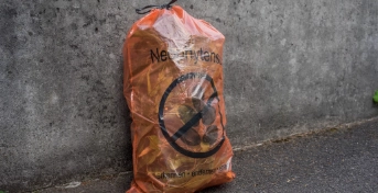 Neophytensack