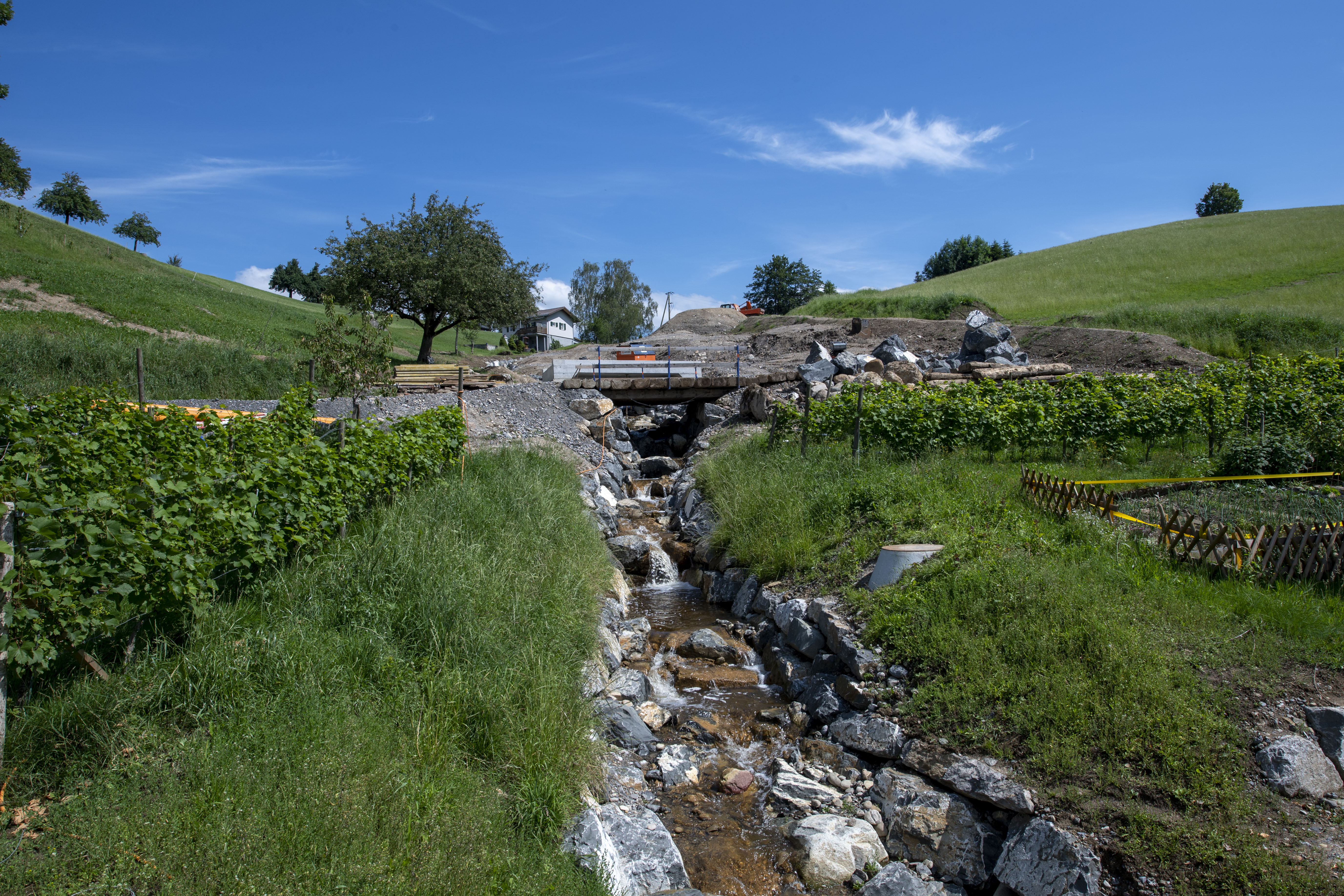 Hinterburgmühlibach Neuheim
