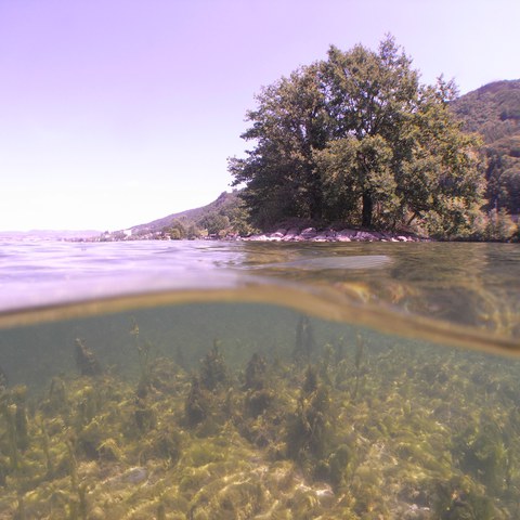 Ansicht vom Zugersee mit der Insel